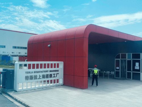国人直接将特斯拉官网干崩 27万model y一出,销量 刹 不住了